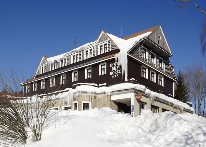 Bily Horec Hotel 3*