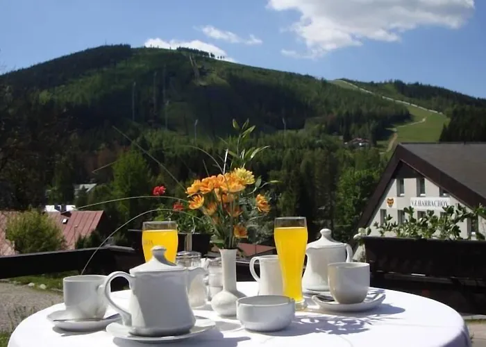 Hotel Bily Horec Harrachov